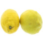 CITRON GROSBUSCH FILET 15X500G